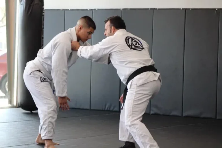 Virtues Jiu-Jitsu Self Defense academy photo