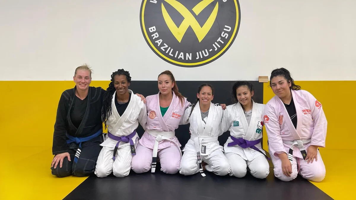 Academia Washington Luis Brazilian Jiu-jitsu academy photo