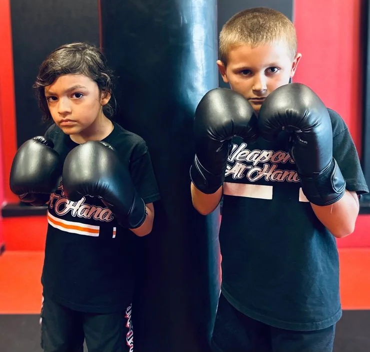 Weapons at Hand Martial Arts Academy academy photo