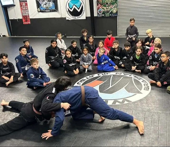Wise JiuJitsu LLC visual