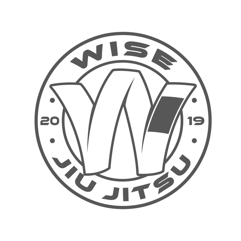Wise JiuJitsu LLC academy photo
