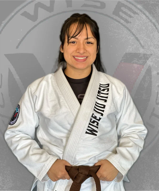 Wise JiuJitsu LLC academy photo