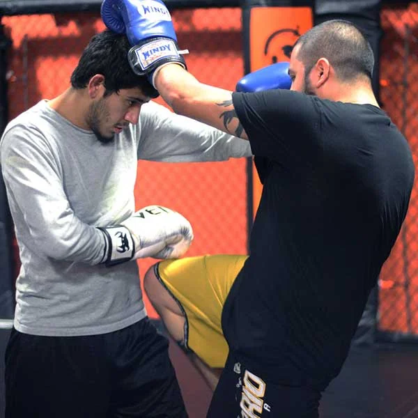 Wolfpack MMA facility image