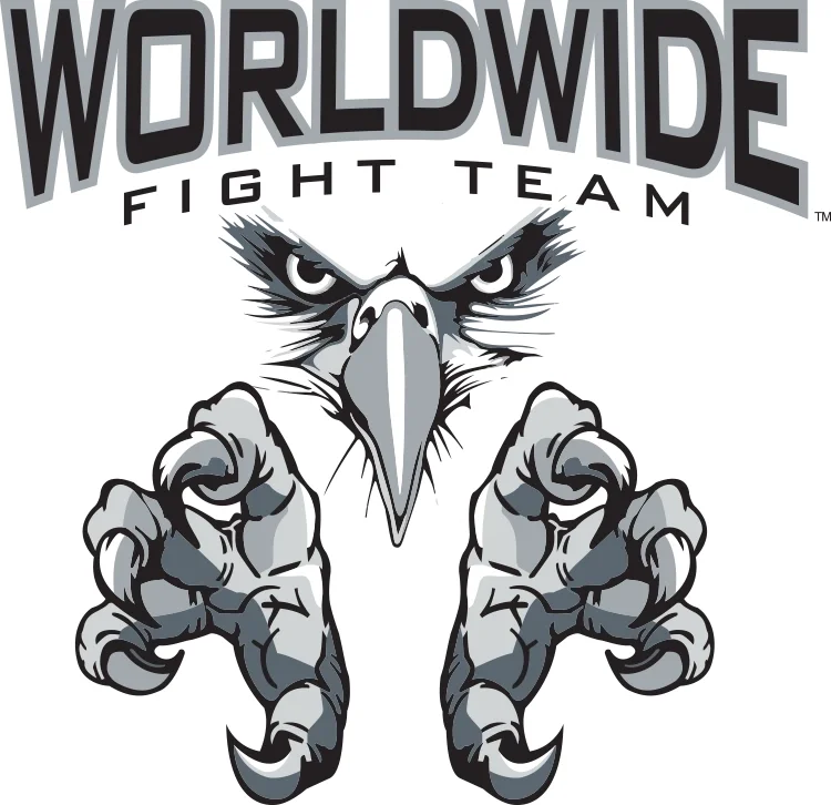 Worldwide Martial Arts academy photo