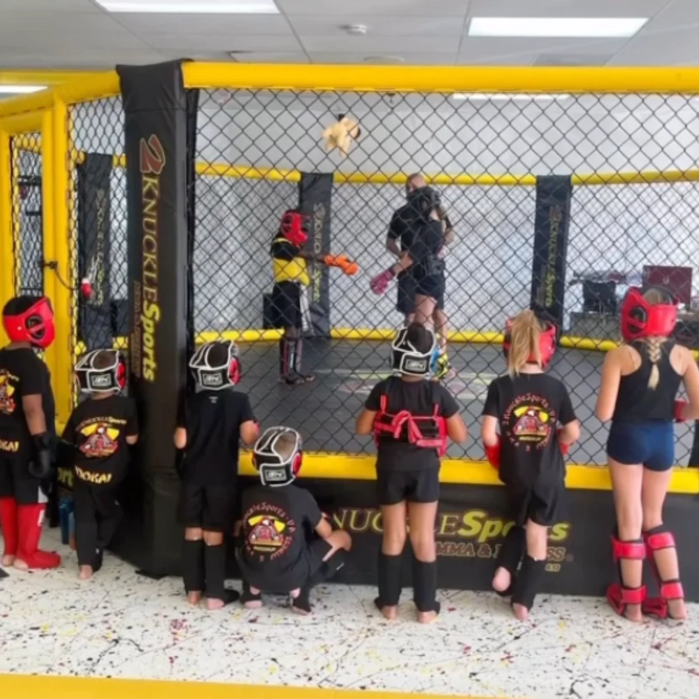 2KnuckleSports MMA & Fitness facility image