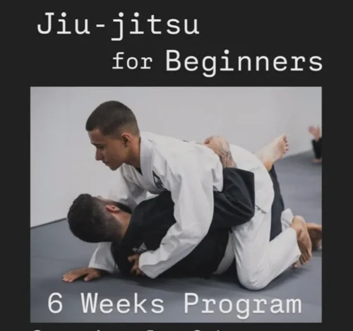 Action Reaction Jiu Jitsu facility image