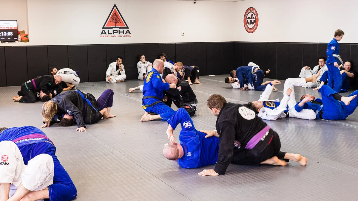 Alpha Brazilian Jiu Jitsu facility image