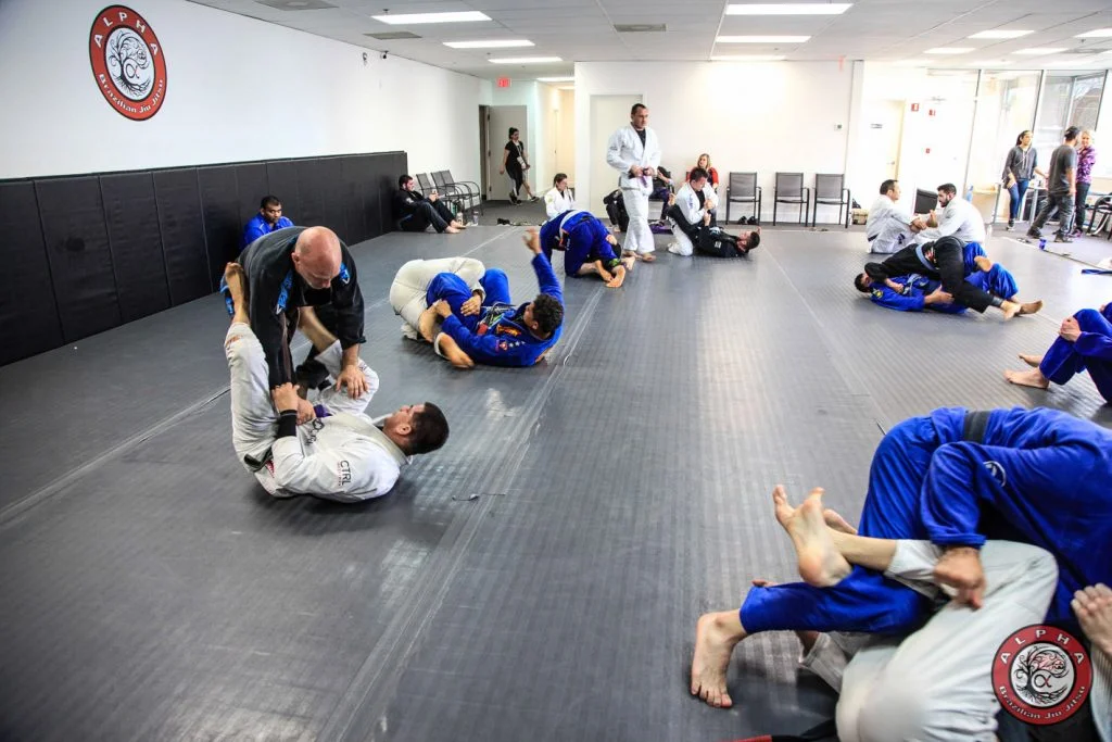 Alpha Brazilian Jiu Jitsu facility image