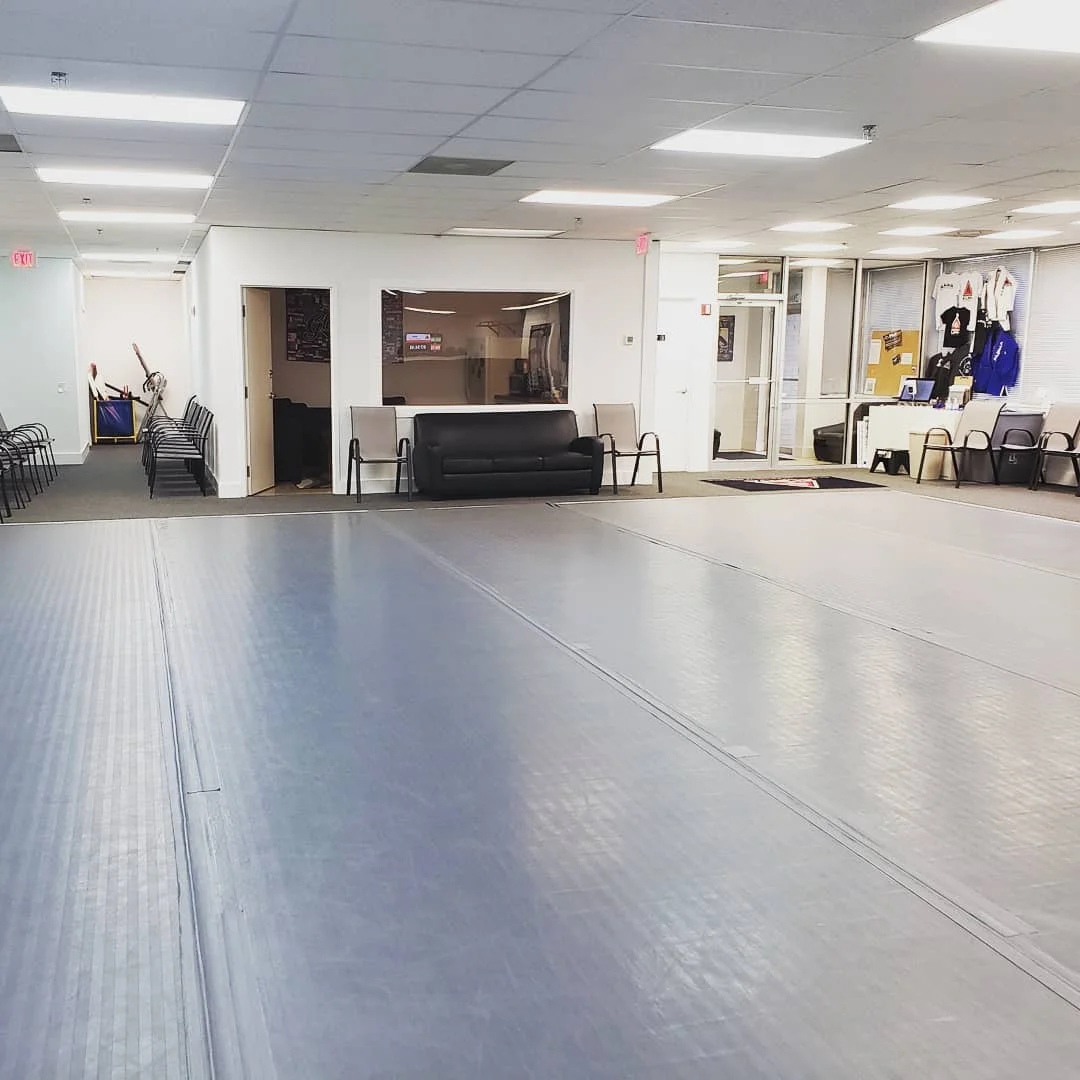 Alpha Brazilian Jiu Jitsu academy logo