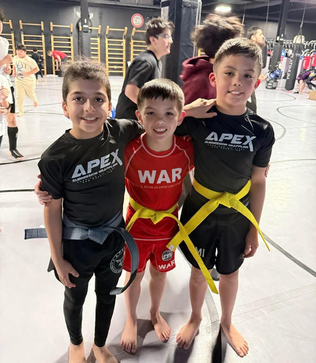 APEX Jiu-Jitsu & MMA facility image