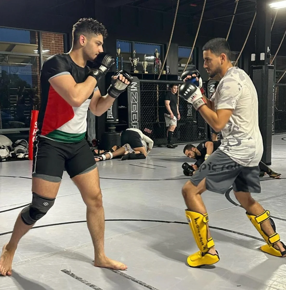 APEX Jiu-Jitsu & MMA facility image