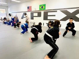 Apex Jiu Jitsu academy photo