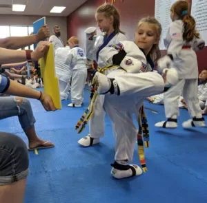 Black Belt Success Academy visual