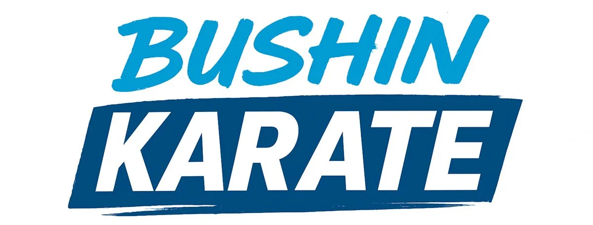 Bushin Richmond / Gracie Jiu-Jitsu Richmond facility image