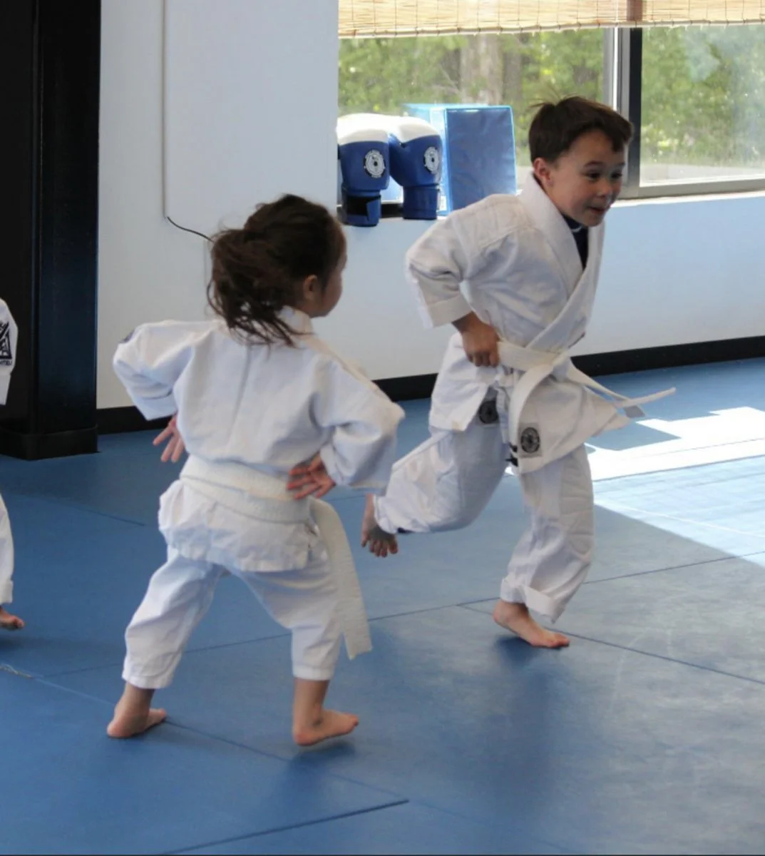 Bushin Richmond / Gracie Jiu-Jitsu Richmond facility image