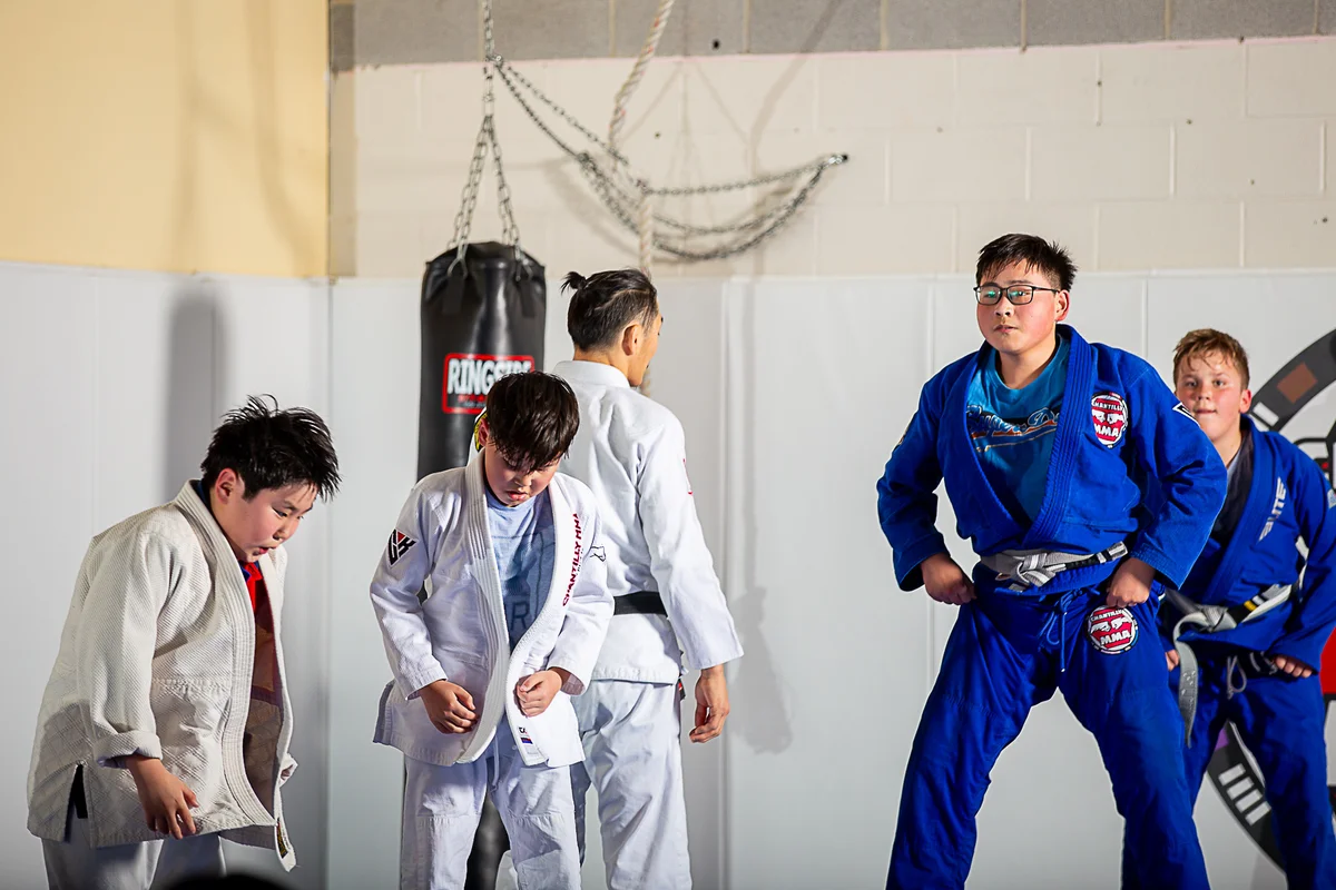 Chantilly MMA Academy - Judo, BJJ and Muay Thai facility image