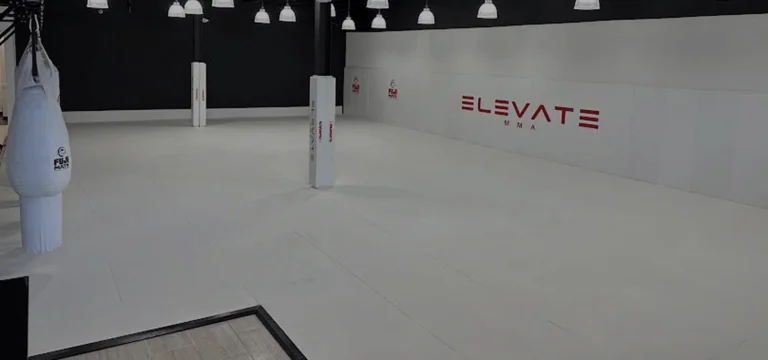 Elevate MMA academy photo