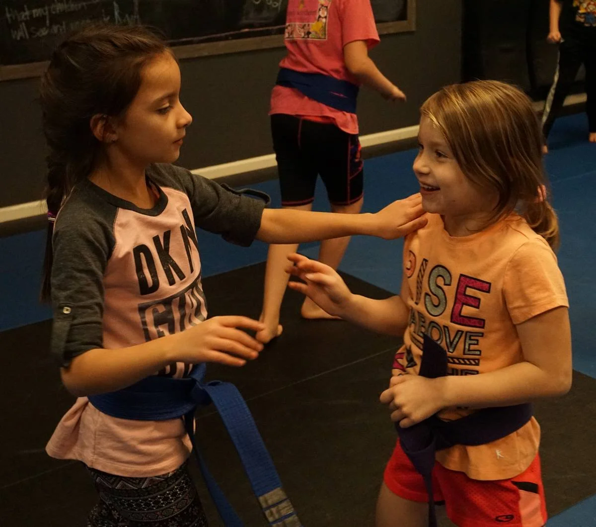 Krav Maga Roanoke facility image