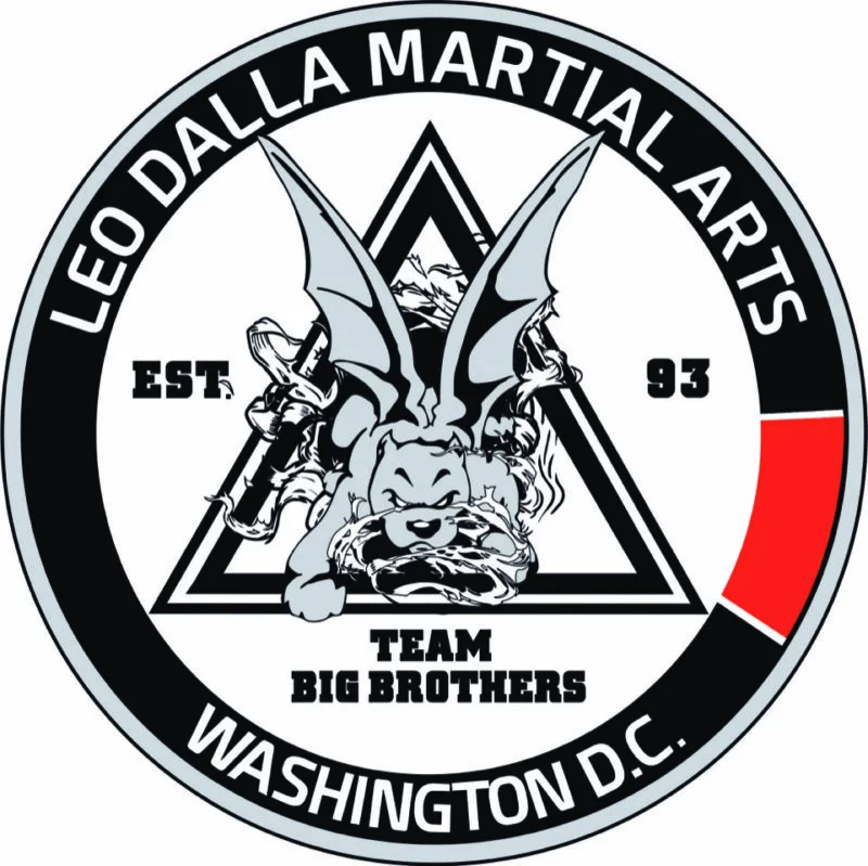 Leo Dalla Martial Arts academy photo