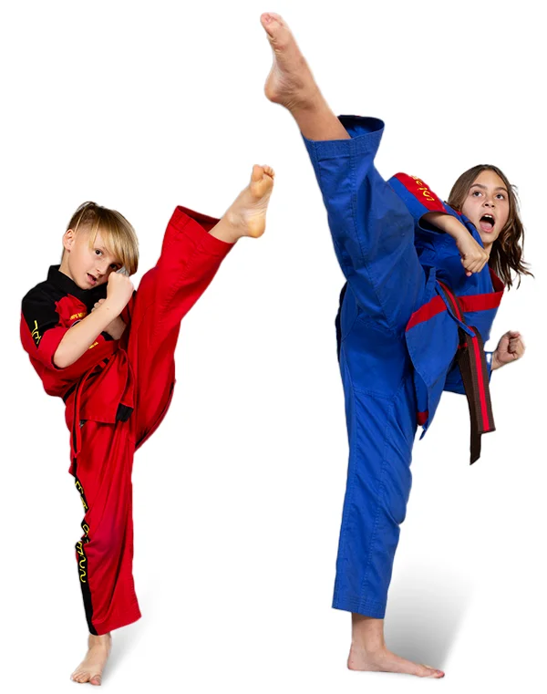 Martial Arts World Henrico facility image