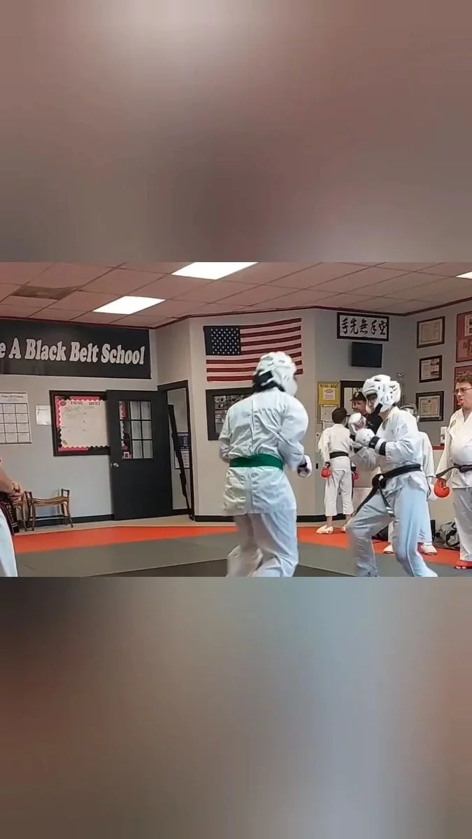 Mason Martial Arts Academy Karate & Brazilian Jiu Jitsu academy logo