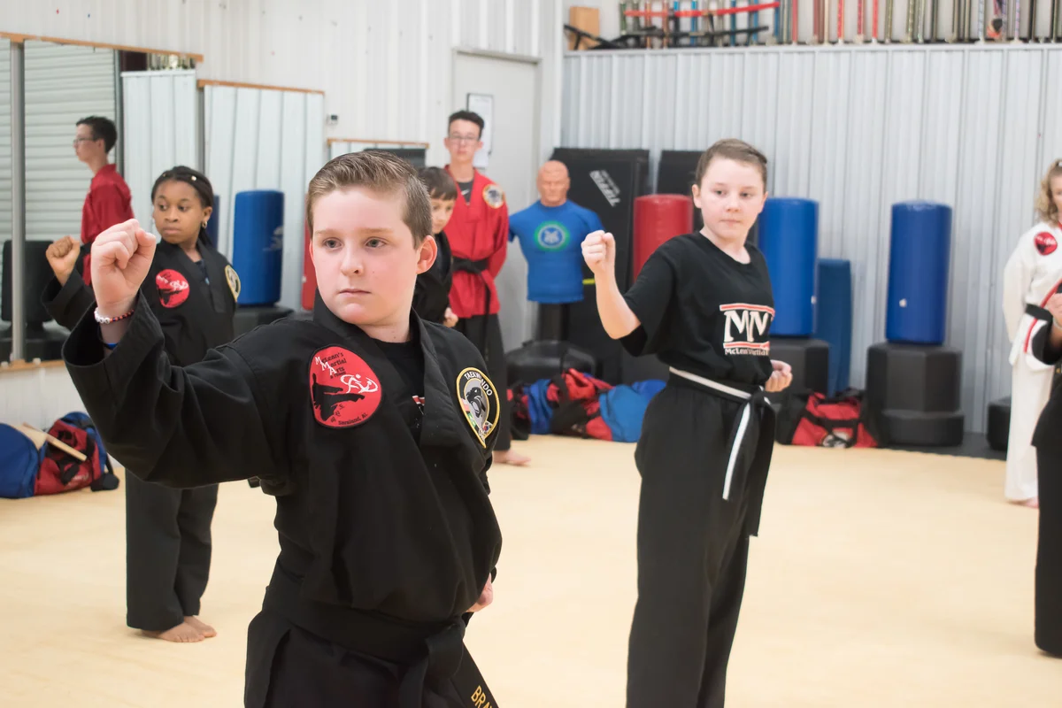 McLean's Martial Arts & Fitness facility image