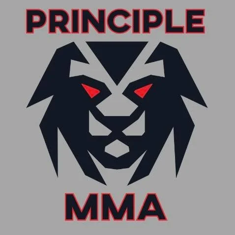 Principle MMA academy photo