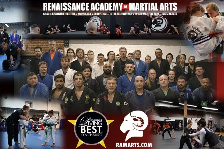 Renaissance Academy of Martial Arts academy photo