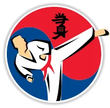 Rise Martial Arts academy photo