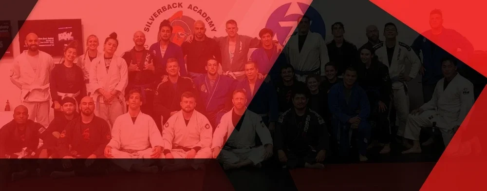 Silverback Academy facility image