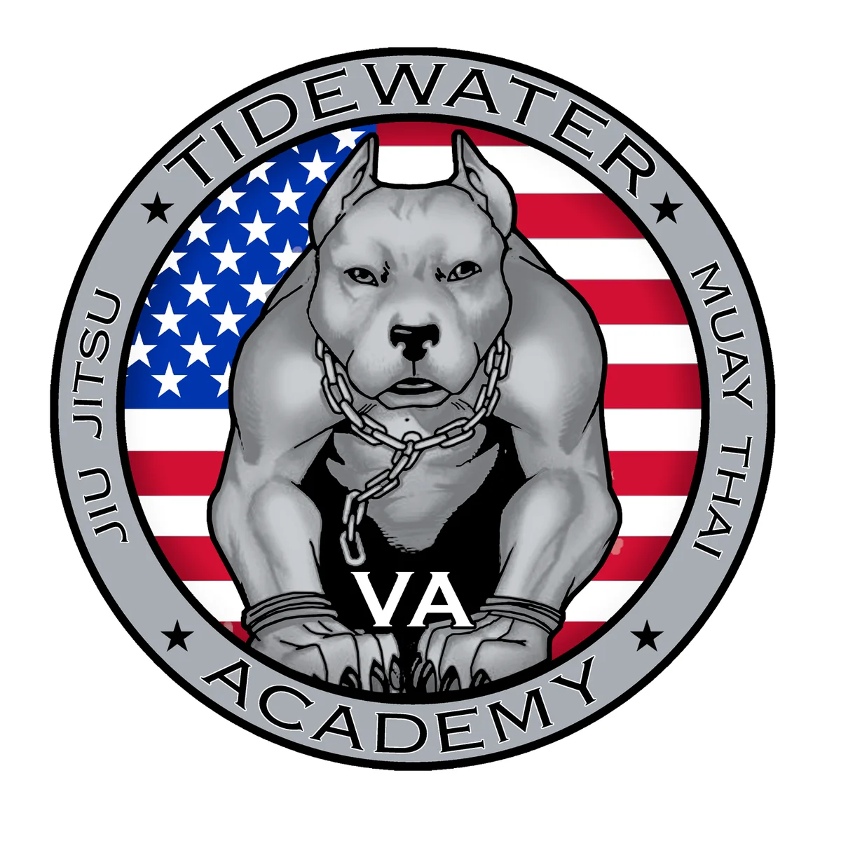 Tidewater Brazilian Jiu Jitsu Academy academy logo