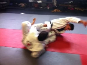 Tysons Brazilian Jiu Jitsu & Haganah facility image