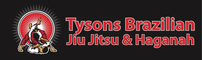 Tysons Brazilian Jiu Jitsu & Haganah facility image