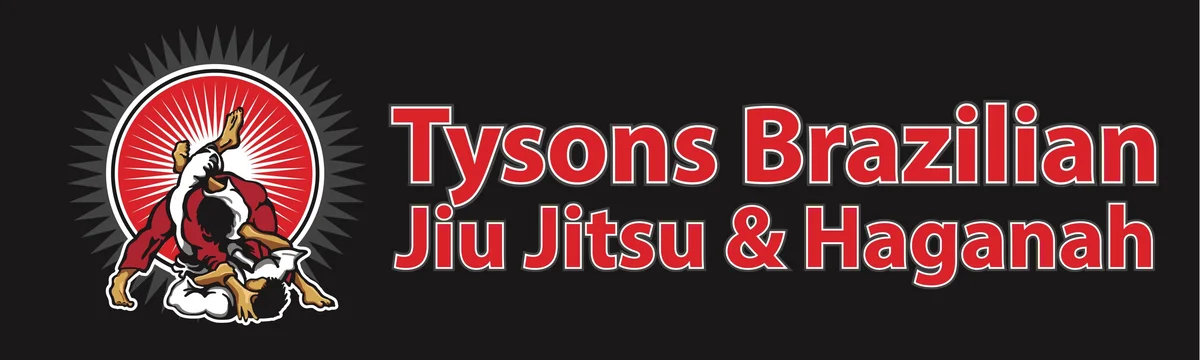 Tysons Brazilian Jiu Jitsu & Haganah facility image