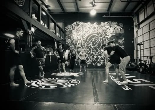 Violent Hippie Academy facility image