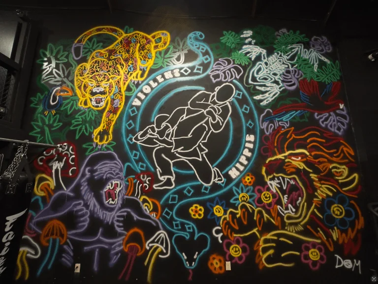 Violent Hippie Academy facility image
