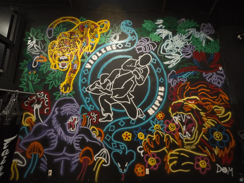 Violent Hippie Academy facility image