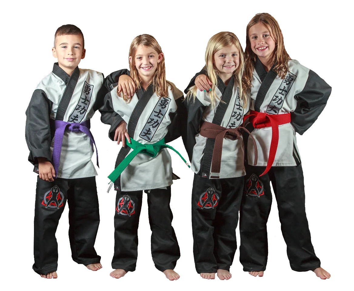 Warriors Martial Arts Institute facility image