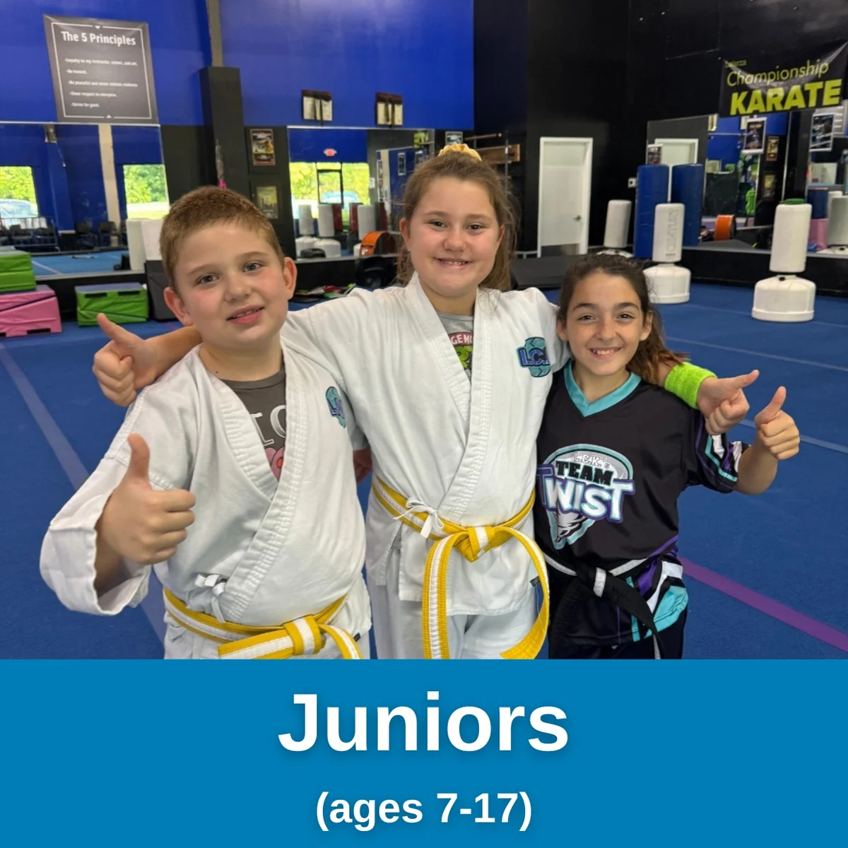 Active Mill Creek (Mill Creek Martial Arts / The BEST Martial Arts School in Mill Creek) academy photo