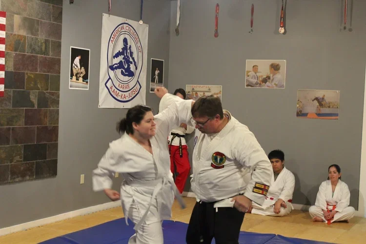 American Colleges of Mixed Martial Arts academy photo