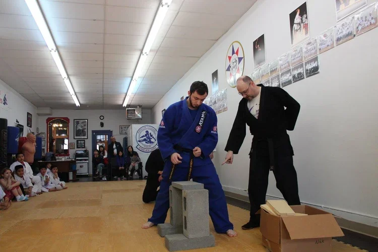 American Colleges of Mixed Martial Arts academy photo