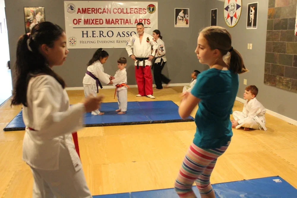 American Colleges of Mixed Martial Arts academy photo