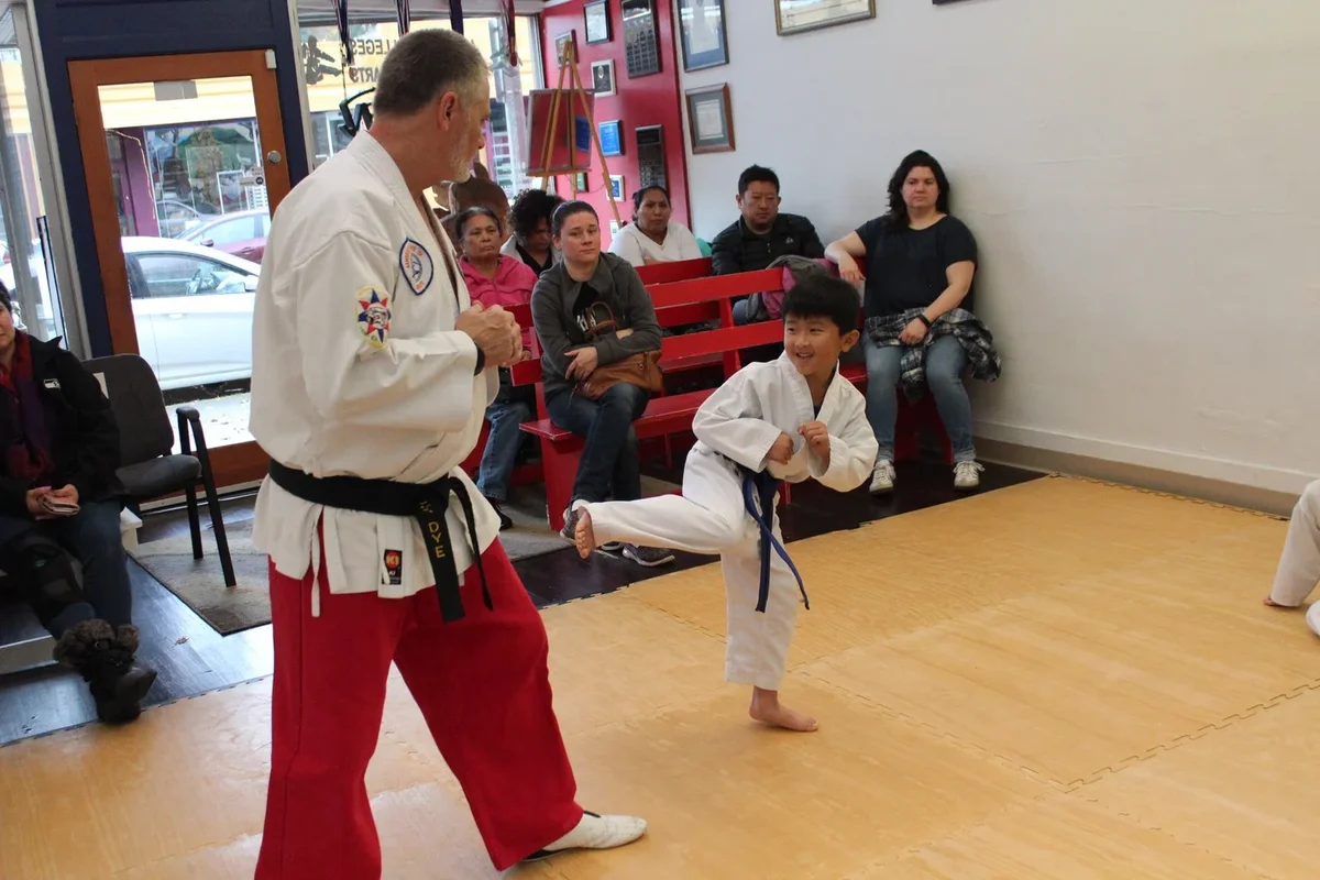 American Colleges of Mixed Martial Arts visual