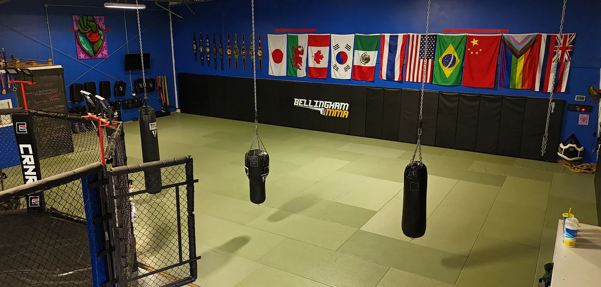 Bellingham Mixed Martial Arts academy photo