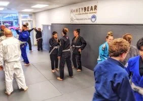 Delariva Brazilian Jiu Jitsu academy photo