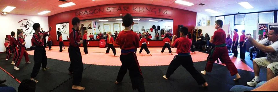 Dragon Star Kung Fu (Dragon Star Kajukenbo) academy logo