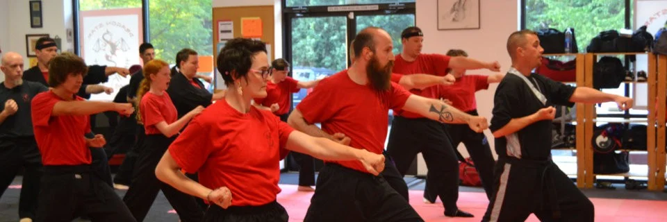 Dragon Star Kung Fu (Dragon Star Kajukenbo) academy photo