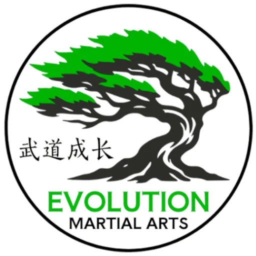 Evolution Martial Arts of Puyallup visual