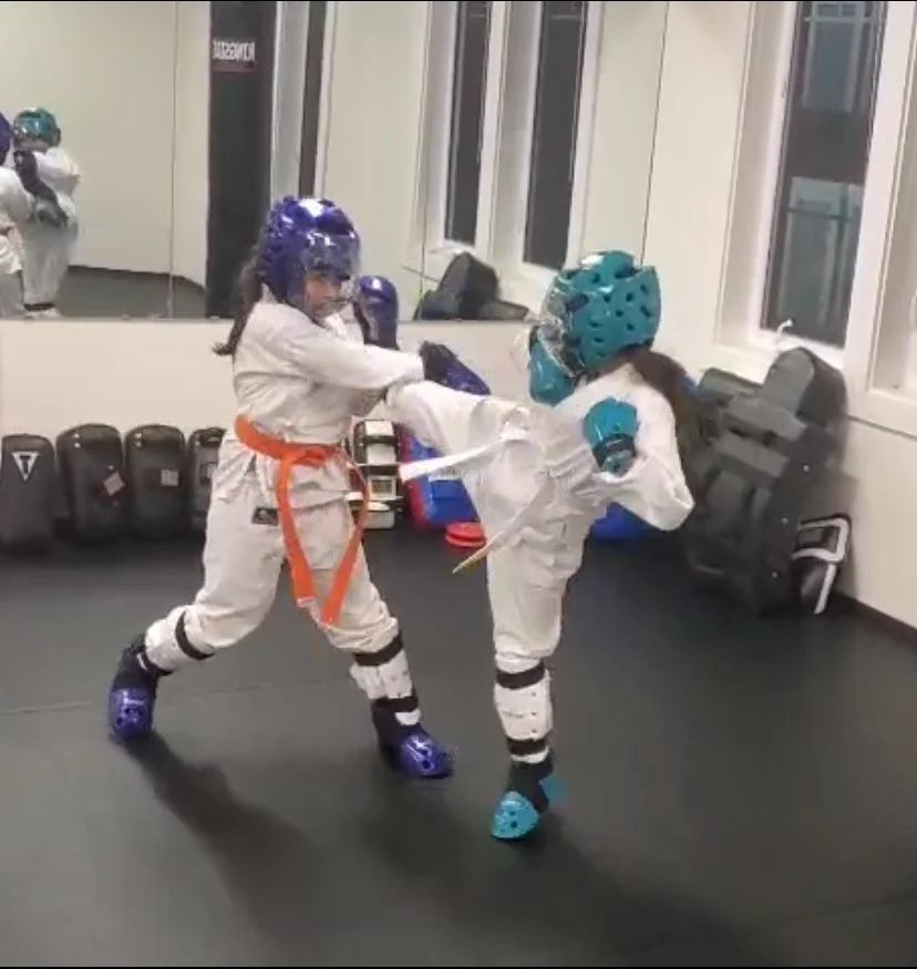 Executive Martial Arts Coaching in Issaquah academy photo