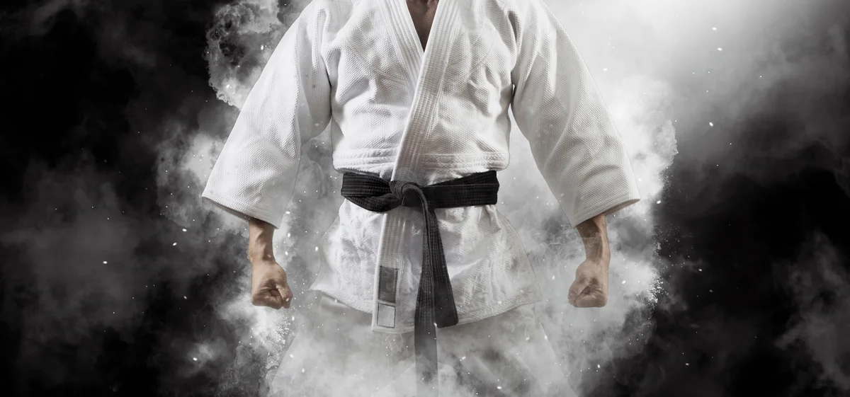 Executive Martial Arts Coaching in Issaquah academy photo